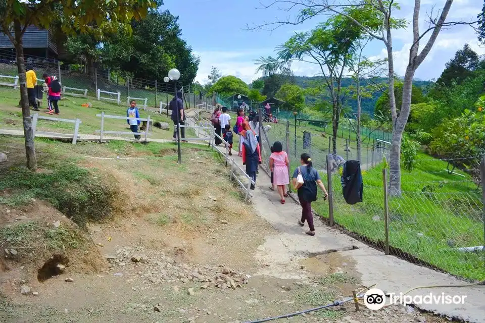 Hotels near Arnab Village Ranau