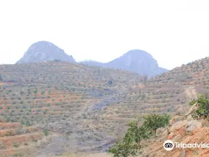 龍王嶺