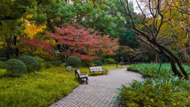 Где остановиться в Шанхае — удобный транспорт: Парк Чжуншань