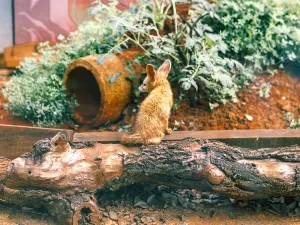 Kunming Zoo