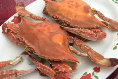紅房子漁家小院