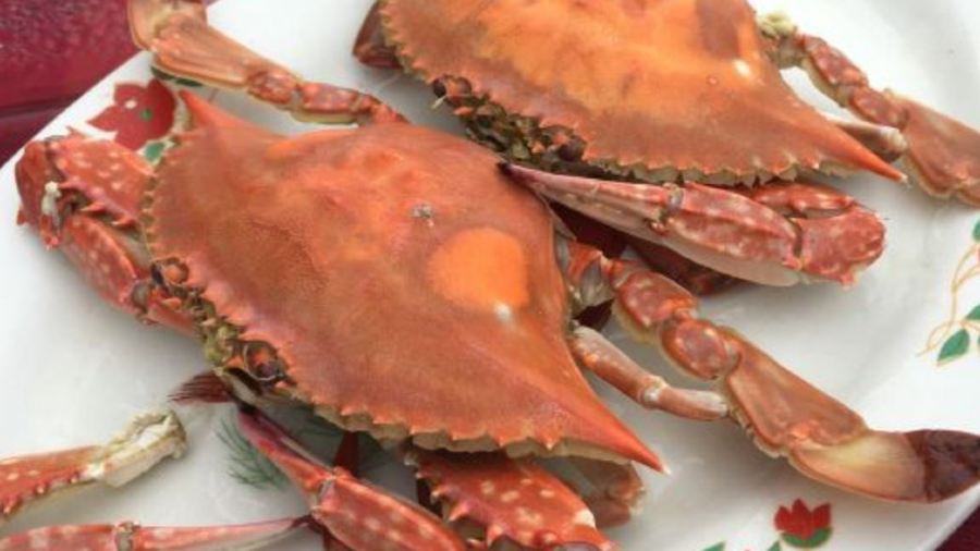 Hong fang zi yu jia xiao yuan