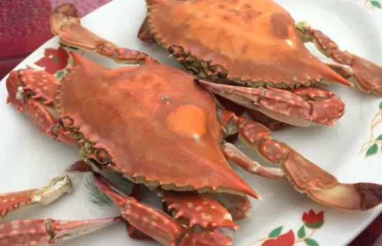 紅房子漁家小院