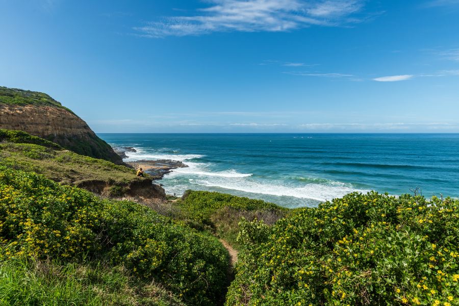 Proserpine to Newcastle Flights