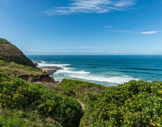 紐卡斯爾 自由行套票