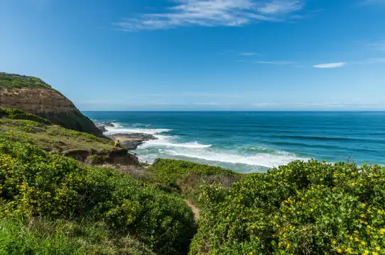 Ibis Budget properties in Newcastle