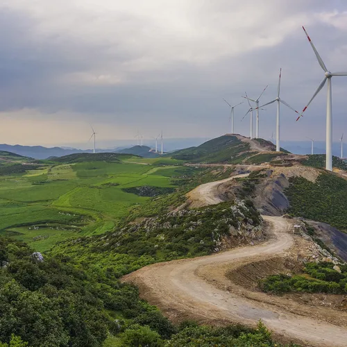 สนามหญ้า