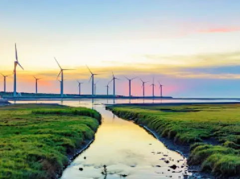 พื้นที่ชุ่มน้ำเกาเหมย