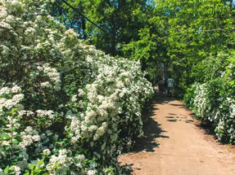 หมู่เกาะโตรอนโต