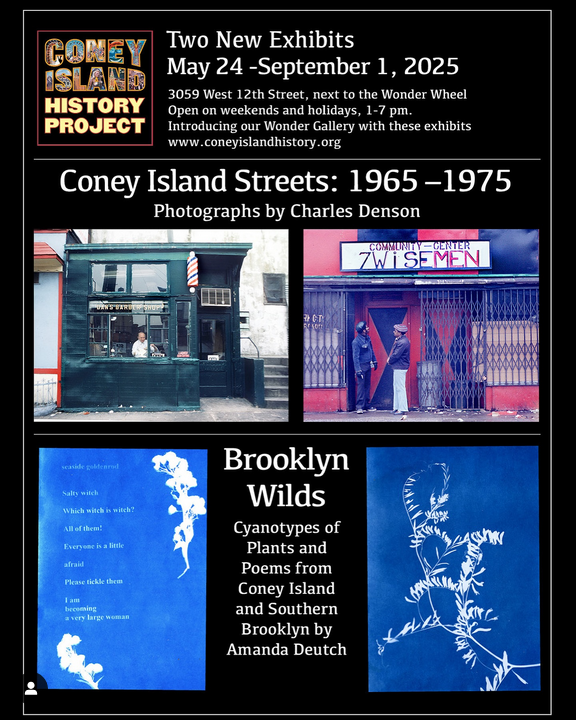 Coney Island Streets: 1965–1975、Brooklyn Wilds: Cyanotypes and Poems by Amanda Deutch | New York
