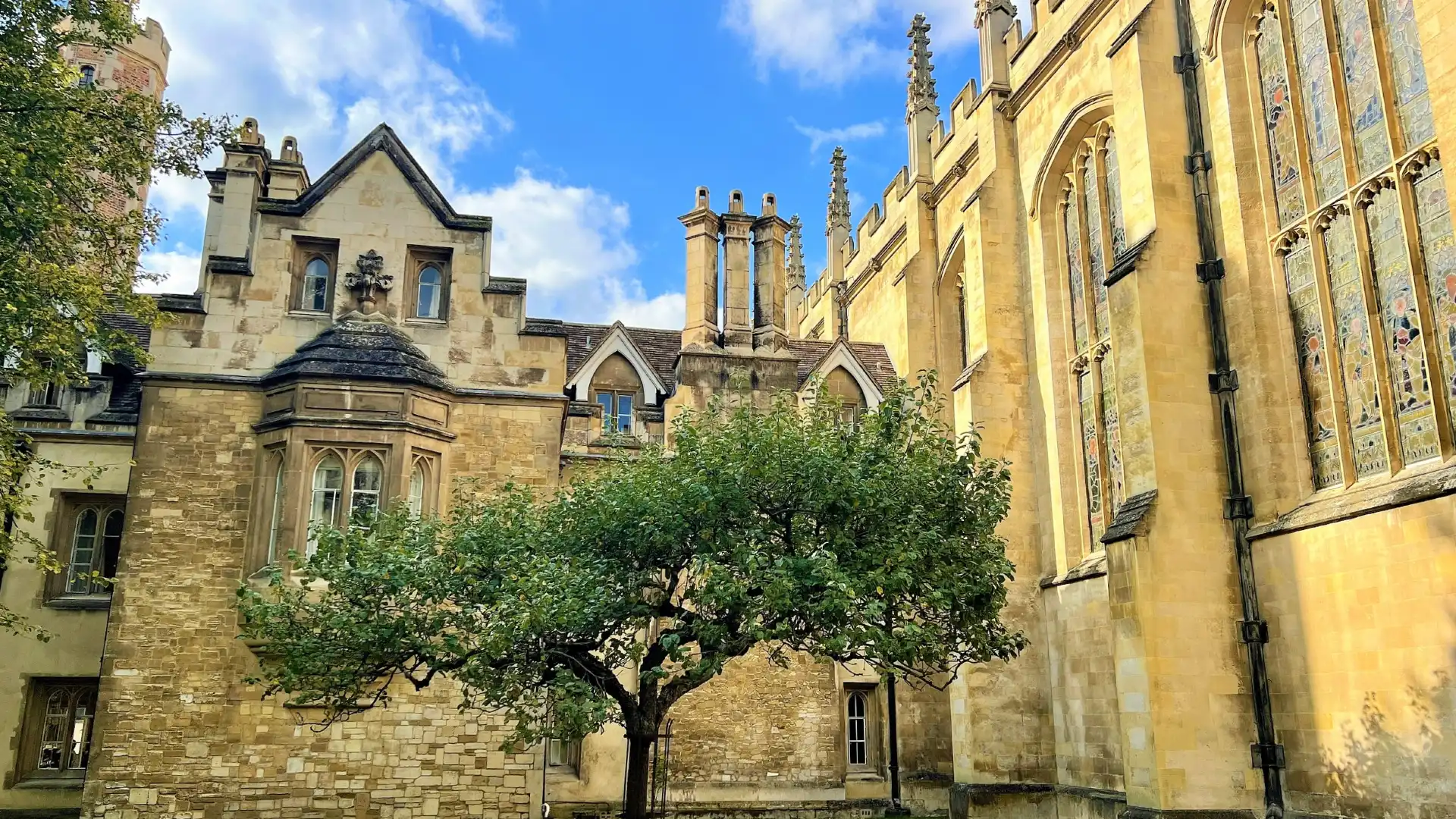 Hotels near Newton's Apple Tree