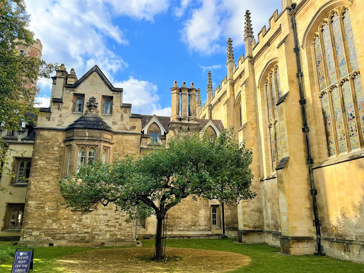 Newton's Apple Tree