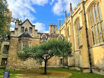 Newton's Apple Tree
