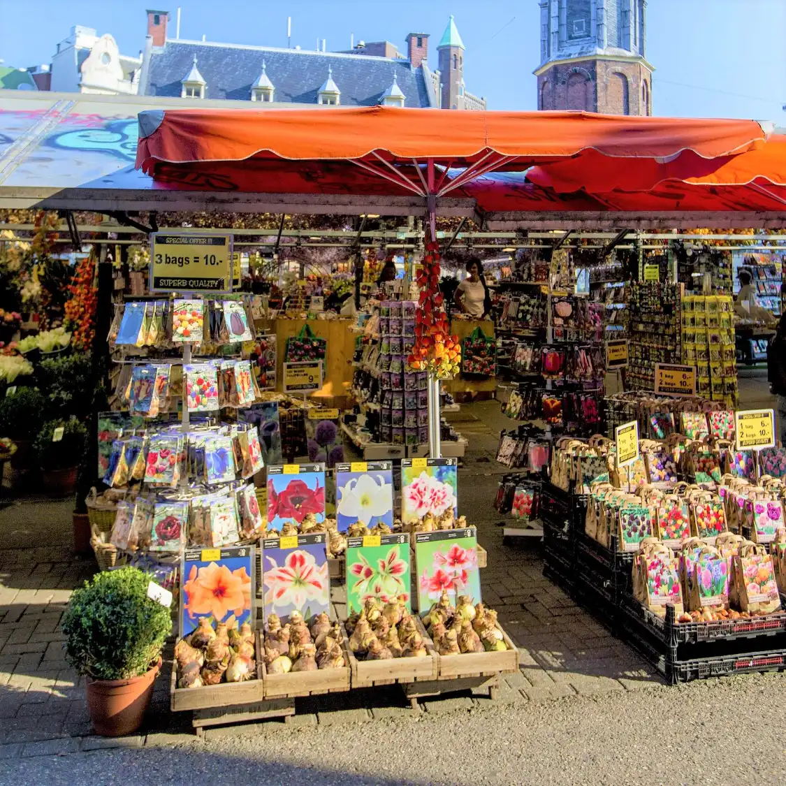 싱겔 꽃 시장 주변 호텔