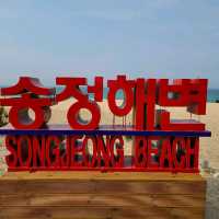 안목? 경포? 송정해변으로 오세요!!