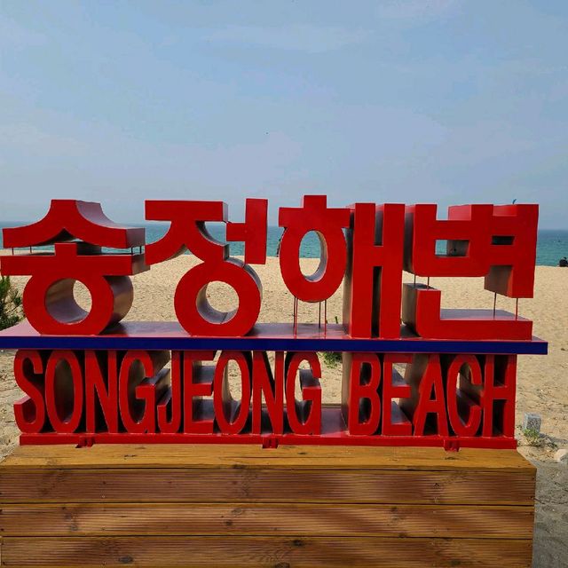 안목? 경포? 송정해변으로 오세요!!