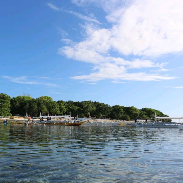 Marine sanctuary of Balicasag