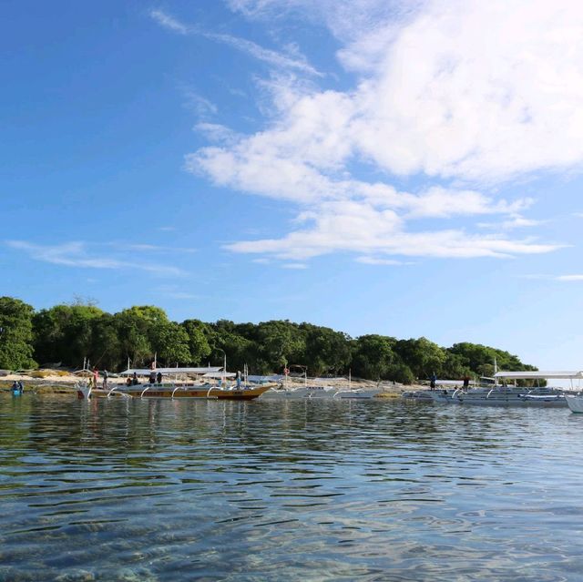 Marine sanctuary of Balicasag