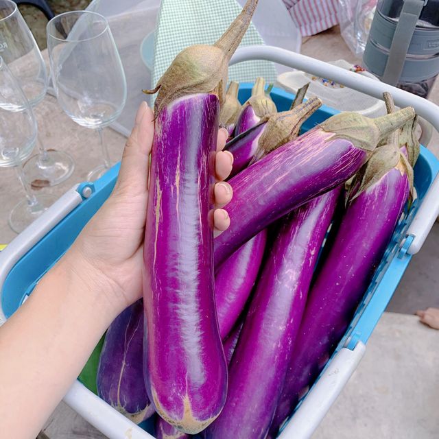 非一般農莊體驗