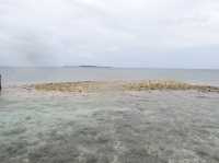 【沖縄県バラス島】定期船の出ていない島！