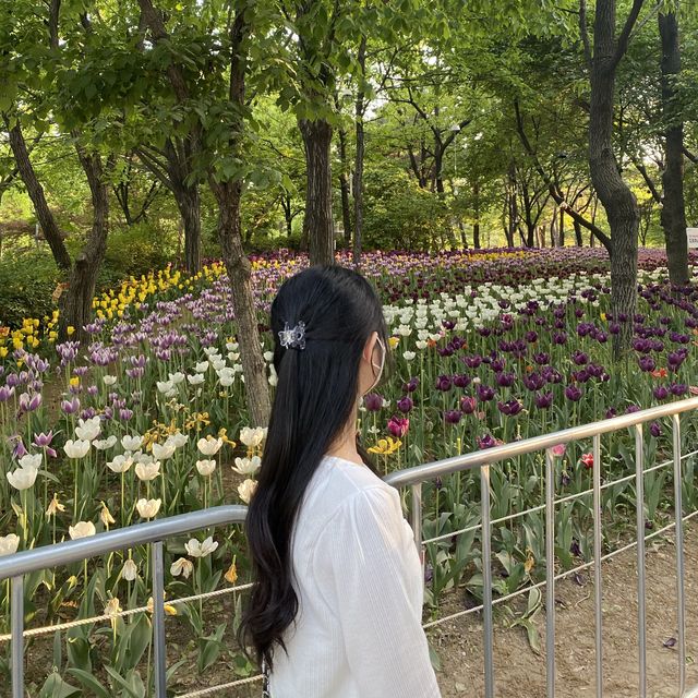 서울숲 튤립축제 포토스팟 모음