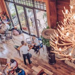 Rock Cafe Tam Dao 여행 사진
