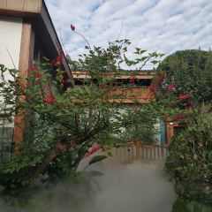 夜不收荤豆花(大邑总店) User Photo