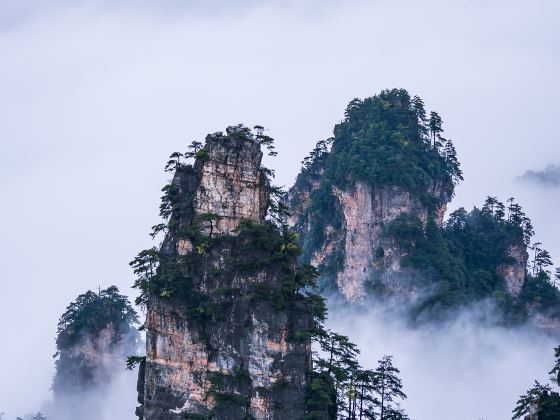  Zhangjiajie Romance Park