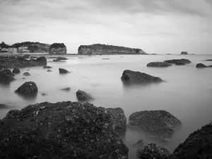 Zhang Island