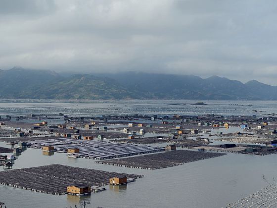 東安島