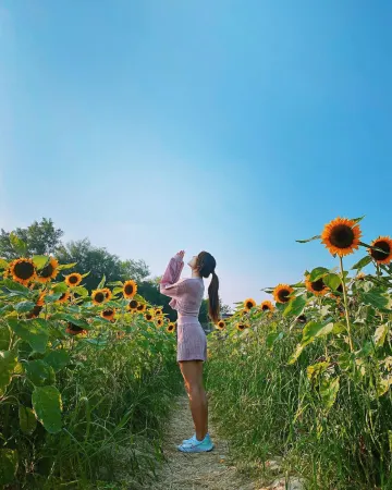 【iPhone 12】送全新iPhone12/64GB/藍色1部❗附 iPhone 影相技巧和拍照攻略