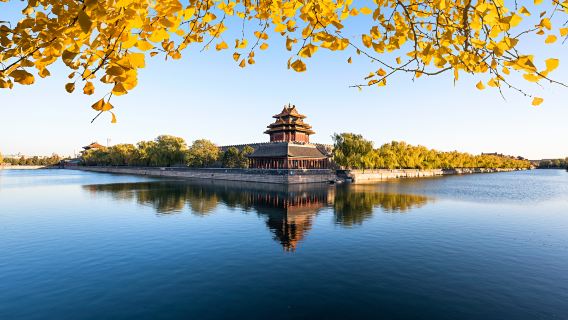 guía en vivo del Museo del Palacio en la Ciudad Prohibida