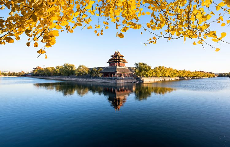 In-depth Forbidden City Tour in Beijing [Includes Tickets + Scholar's Insightful Commentary/15 or 25 Travelers/Internet-Famous Group]