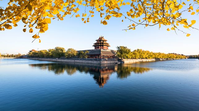 北京故宮博物院半日遊|包括門票·可選小團/獨立包團/中英文導遊講解