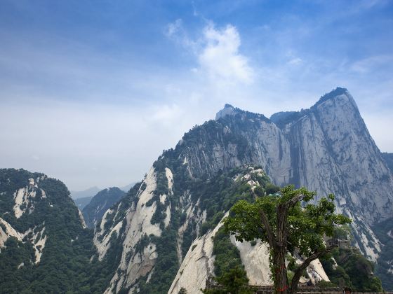 Smart Huashan Road