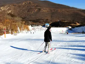 嵩山スキー・グラススキー場