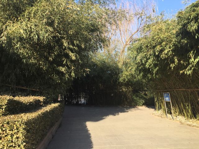 Dongyuan Park