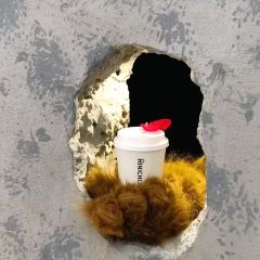 HINICHIJOU User Photo