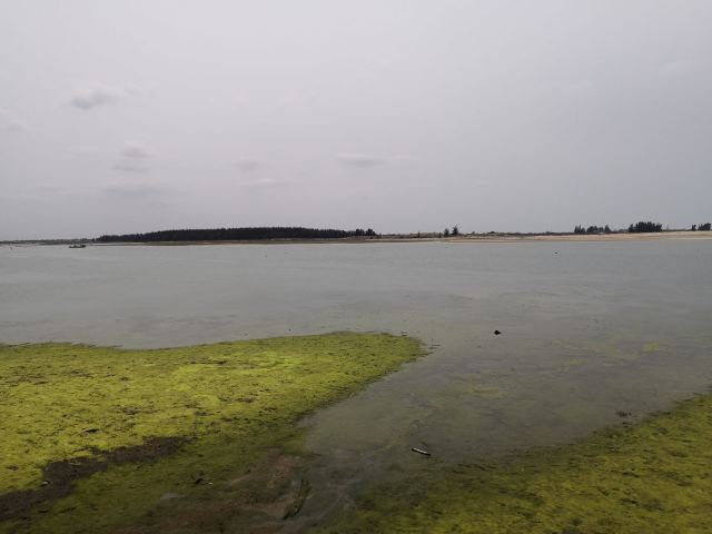 Qizi (Chess) Bay