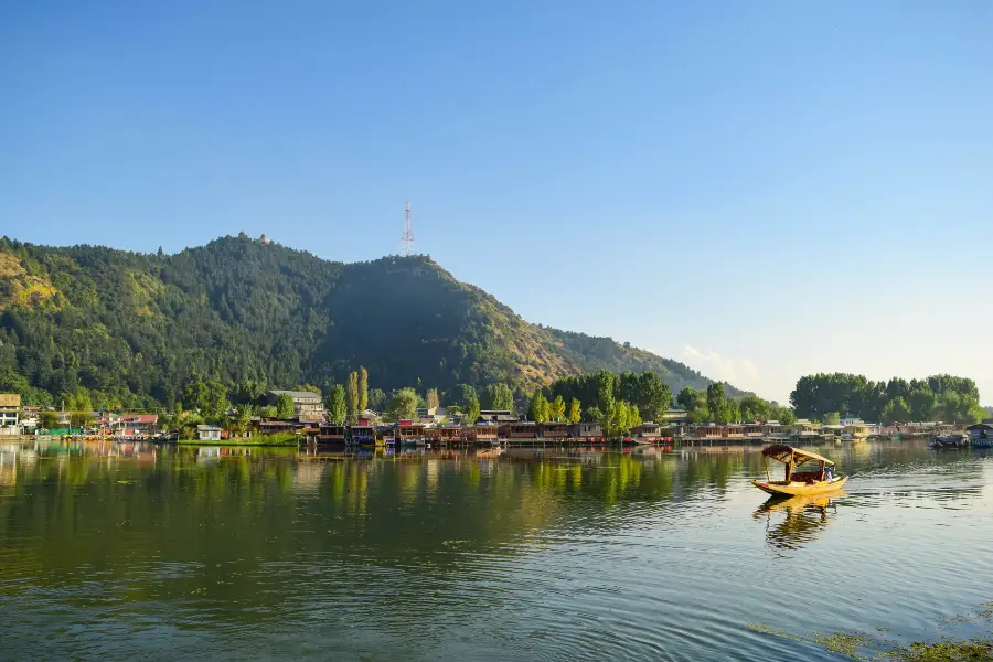 Shankaracharya Hill