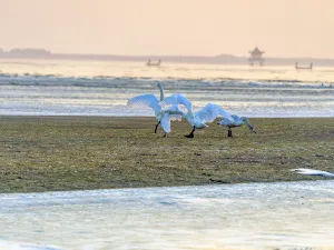 금산 도시 해변