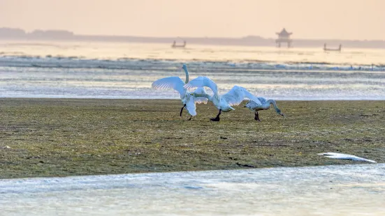 Jinshan City Beach