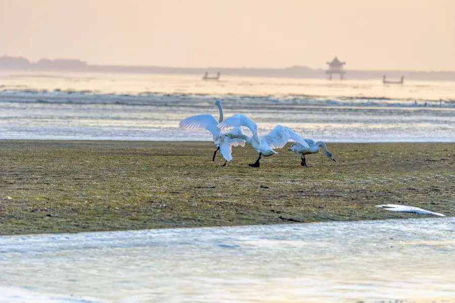 Jinshan City Beach