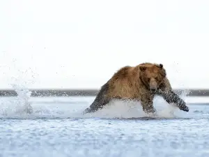 Национальный заказник Катмай