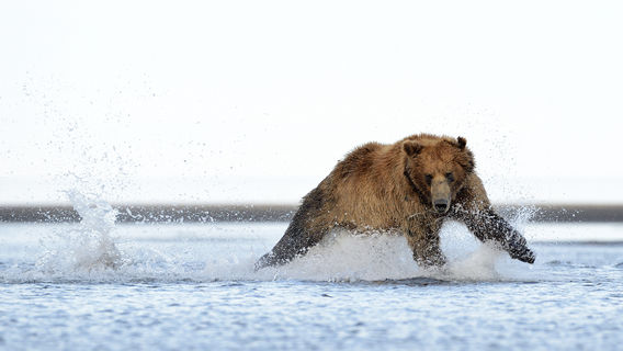 Katmai National Park and Preserve