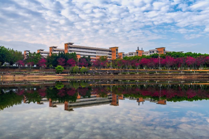 Shaoguan University