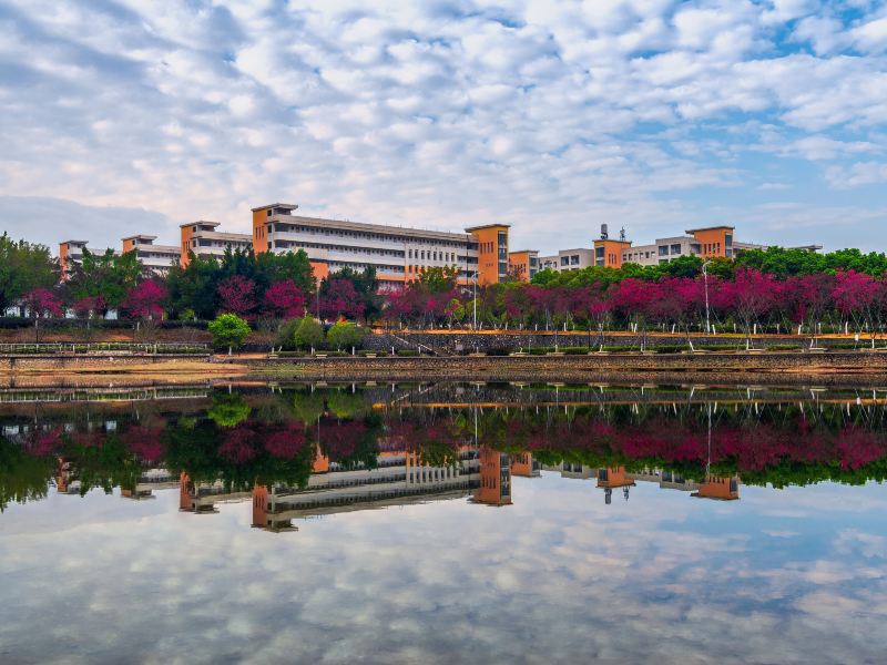 Shaoguan University