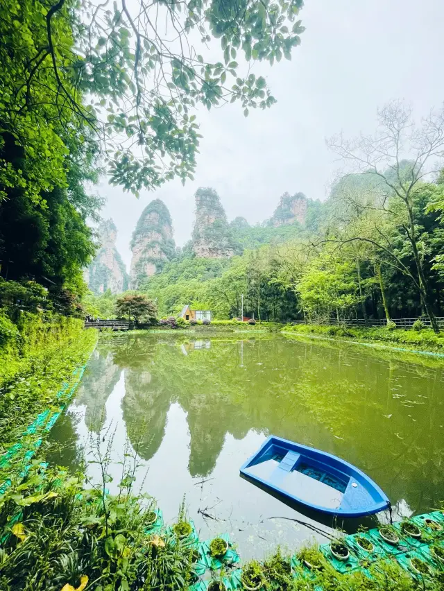 張家界國家森林公園｜一覽眾山小