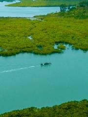 钦州湾茅尾海国际旅游度假区