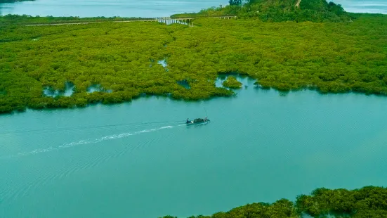 钦州湾茅尾海国际旅游度假区